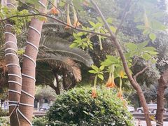 -成都诺亚8号酒店