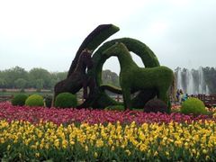 iphone_upload_pic-上海鲜花港
