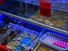 -金海湾海鲜排档(朱家尖店)