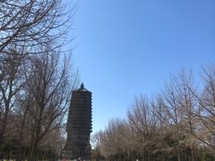 -玲珑塔公园