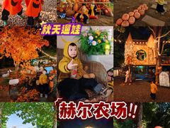 -HERRE·FARM 赫尔露营农场·团建聚会包场