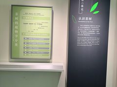 -中国茶叶博物馆(双峰馆区)