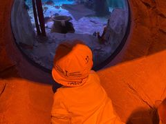 -沈阳海洋探索中心