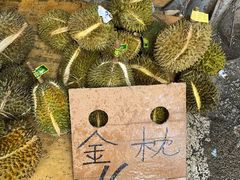 -海吉星市场