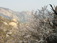 -北京凤凰岭