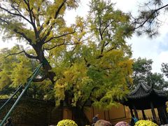 -无锡惠山寺