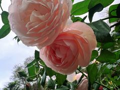 -人民公园(罗湖区)