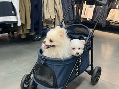 -迪卡侬(西华店)