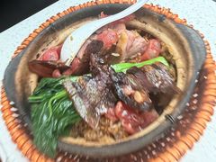 -肥仔文澳门猪骨煲(南京西路店)