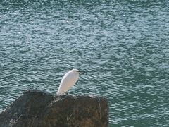 -天目湖涵田度假村