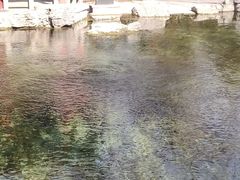 -百脉泉景区