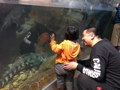 -哈尔滨波塞冬海底世界