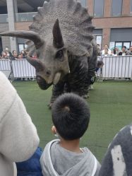 -恐龙探索乐园(磁器口店)