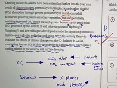 -JT PREP国际学科课程·IB·AP·Alevel(陆家嘴校区)