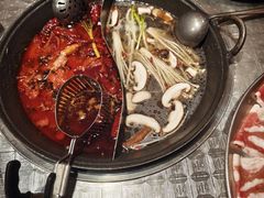 -朱光玉火锅馆(龙阳广场店)