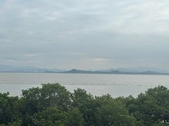 -深圳湾公园(南山区)