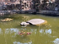 -无锡梅园公园