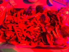 -南中轴熊猫范大食堂