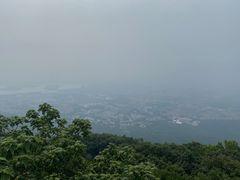 -紫金山山顶公园