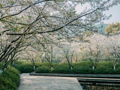 -诺贝尔湖公园