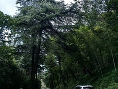 -紫金山山顶公园