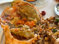 -顺德了能馆(虎门店)