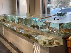 -山海经·海边人家 海鲜新青岛菜(扬州路店)