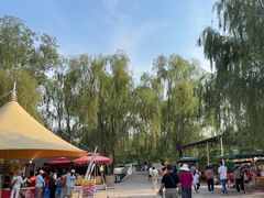 -白洋淀景区