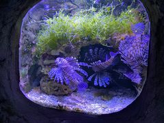 -杭州长乔极地海洋公园