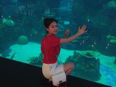 -成都浩海立方海洋公园