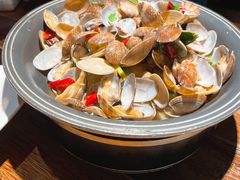 辣蛤蜊-前海沿·青岛菜(大拇指广场石老人店)