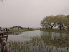 -苏州太湖湖滨国家湿地公园