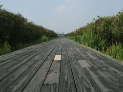 -白鹭湾湿地公园