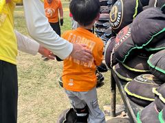 -春花秋色城市公园