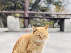 -华山风景名胜区