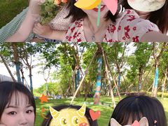 -九龙湖公园