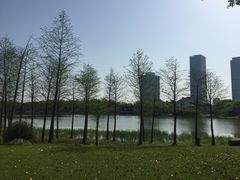-尚贤河湿地