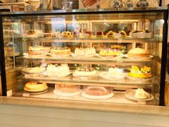 -Fern Forest Cafe