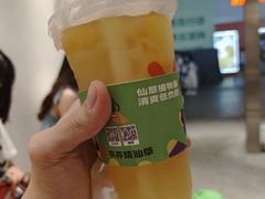 冰爽香橙冻冻-书亦烧仙草(印象汇都市店)
