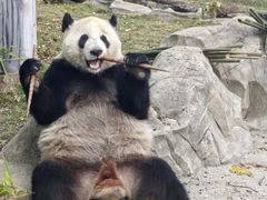 -武汉动物园