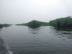 -白洋淀景区
