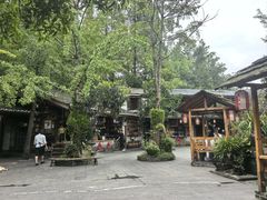 -青城甲(青城山店)