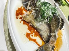 -龙庭华宴·粤菜·早茶