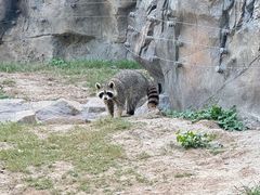 -上海野生动物园