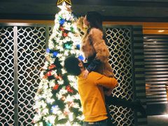 -京津新城温德姆至尊酒店(珠江大道店)