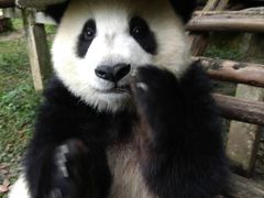 -张弛射箭馆