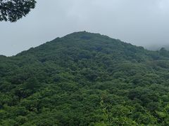 -东部华侨城