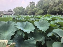 -莲池书院博物馆