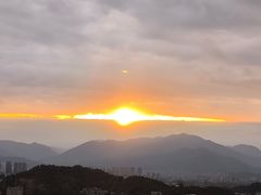 -福道