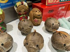 -春润大地海南椰子鸡(沙井京基百纳广场店)